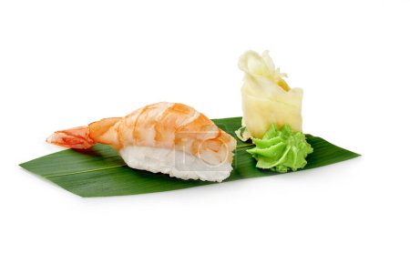 Single shrimp sushi nigiri traditionally served with wasabi and pickled ginger on green bamboo leaf, isolated on white background. Popular Japanese style snack concept