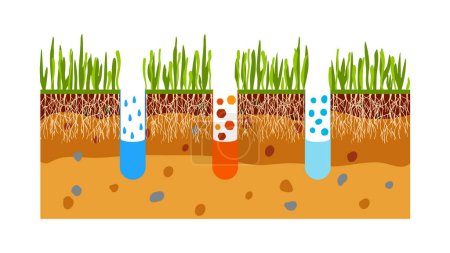Illustration for Vector illustration of lawn aeration. Concept of lawn grass care, gardening service, benefits of aeration. Water, air and fertilizer having easy access to soil - Royalty Free Image