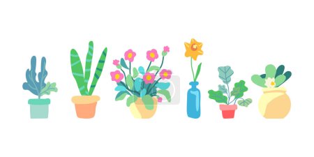 Illustration for Botanical set of spring indoor plants. Flowers and leaves in the pot. Flowering plants. Blooming flowers and foliage. Flat graphic vector illustration on white background. Colorful hand drawn - Royalty Free Image