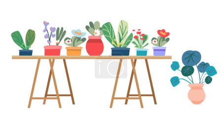 Illustration for Botanical set of indoor plants. Interior houseplants, flowerpots. Home indoor green decor on furniture. Shelf for flowering plants. Different blooming flowers and foliage. Flat graphic vector - Royalty Free Image
