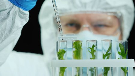 Téléchargez les photos : Scientifique mène des recherches avec des plantes en laboratoire. - en image libre de droit