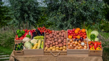 Foto de Un puesto con varias verduras en un mercado de agricultores. - Imagen libre de derechos