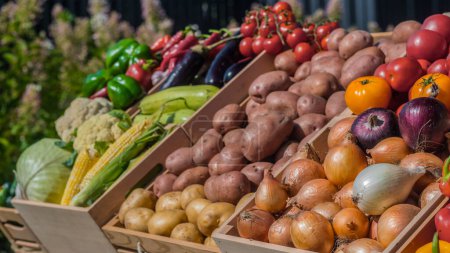 Foto de Un puesto con varias verduras en un mercado de agricultores. Vista lateral - Imagen libre de derechos