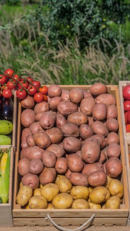 Foto de Patatas en una caja de madera en el mostrador del mercado de agricultores. - Imagen libre de derechos