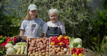 Téléchargez les photos : Portrait d'une agricultrice âgée avec sa petite-fille. Debout derrière un étal de légumes à un marché fermier. - en image libre de droit