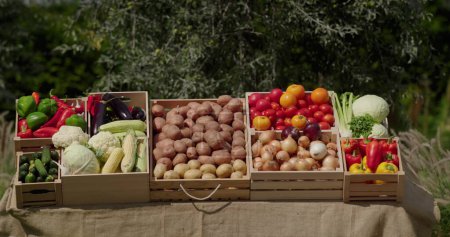 Téléchargez les photos : Une échoppe avec divers légumes dans un marché fermier. - en image libre de droit