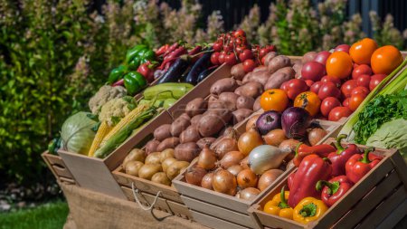 Téléchargez les photos : Des caisses en bois de légumes de saison se dressent sur le comptoir d'un marché fermier extérieur - en image libre de droit
