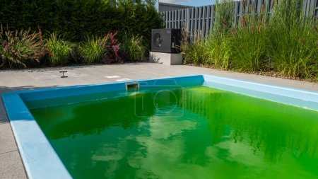 Photo for Green water in a home pool in the backyard of a house. Bloomed due to incorrect dosage of chemicals. - Royalty Free Image