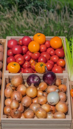 Foto de Cajas de tomates y cebollas en un puesto de mercado de agricultores. - Imagen libre de derechos