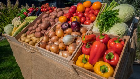 Foto de Surtido de verduras frescas de temporada en un puesto de mercado de agricultores. - Imagen libre de derechos