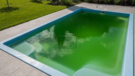 Téléchargez les photos : Eau verte dans une piscine de la maison dans la cour d'une maison. Floraison due à une dose incorrecte de produits chimiques. - en image libre de droit