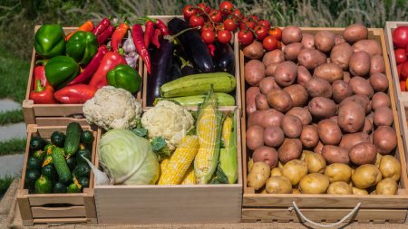 Foto de Cajas de madera con verduras de temporada en un mostrador de mercado de agricultores. - Imagen libre de derechos