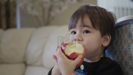 Foto de Pequeño niño come una manzana roja grande. - Imagen libre de derechos
