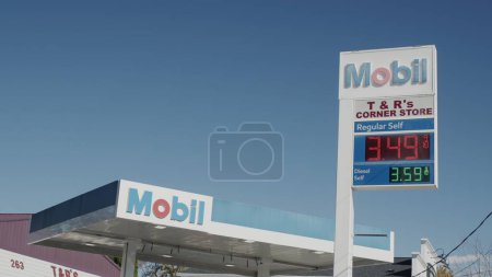 Photo for Stella with gasoline and diesel prices. - Royalty Free Image