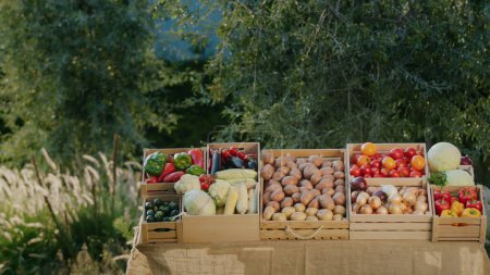 Téléchargez les photos : Une belle échoppe avec des légumes au marché fermier. Aliments sains provenant des agriculteurs locaux. - en image libre de droit