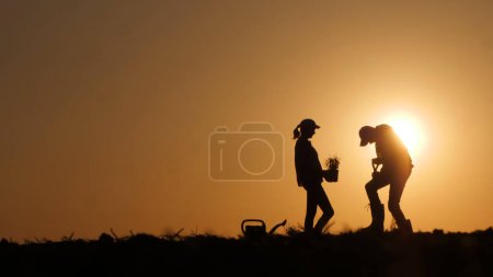 Foto de Un par de granjeros plantan plántulas en un campo. Siluetas sobre el telón de fondo de una pintoresca puesta de sol. - Imagen libre de derechos