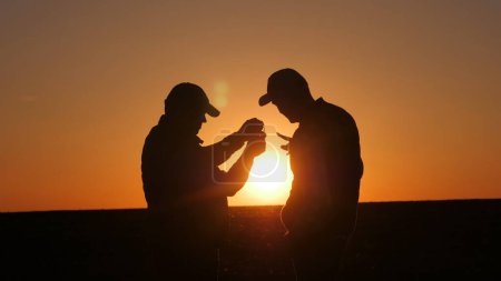 Foto de Dos agricultores estudian un brote en un campo, de pie sobre el telón de fondo de una pintoresca puesta de sol. Foto de alta calidad - Imagen libre de derechos