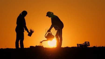 Téléchargez les photos : Deux femmes plantent une plante dans un champ au coucher du soleil, l'arrosent à partir d'un arroseur portatif. Photo de haute qualité - en image libre de droit