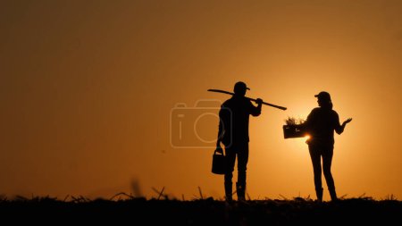 Two farmers talking in a field at sunset. Rearrange working tools. High quality photo
