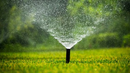 A sprinkler system effectively distributing water over a lush green lawn, creating a fine mist that glistens in the sunlight. The well-maintained grass appears vibrant and healthy, benefitting from