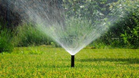 A sprinkler system efficiently watering a well-kept green lawn, dispersing water in a fine mist across the grass. The water droplets glisten in the clear sunlight, highlighting the vitality of the