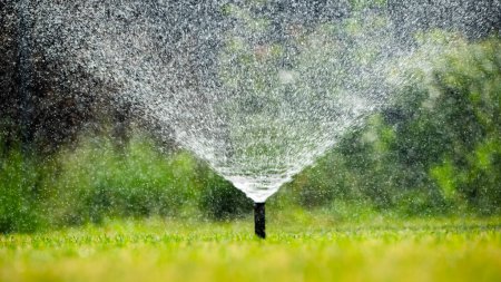 A sprinkler system actively irrigating a vibrant green lawn, spreading water evenly across the grass. The fine mist from the water droplets catches the sunlight, creating a sparkling effect. This