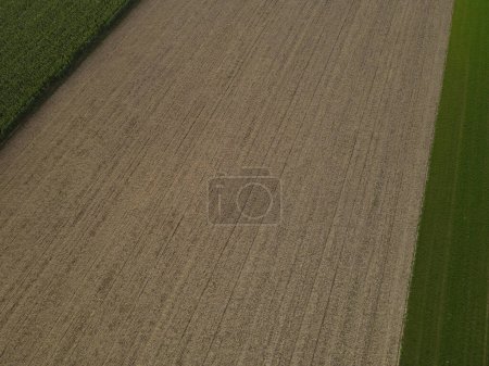 Photo for Drone view of a plowed agriculture field with soil in the countryside - Royalty Free Image