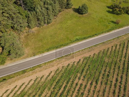 Foto de Vista aérea de una carretera rural entre campos en el campo - Imagen libre de derechos