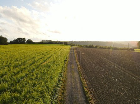 Campos agrícolas con campos agrícolas y una carretera rural en el campo 