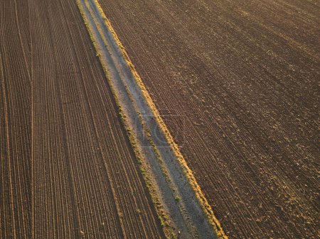 Vue aérienne d'un champ agricole avec une route de campagne asphaltée 