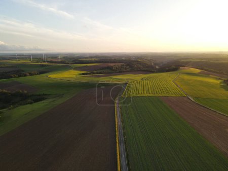 Vue aérienne d'une route et de champs agricoles à la campagne 