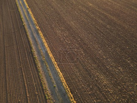 Vue aérienne d'un champ agricole avec une route de campagne au coucher du soleil