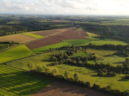 Vue aérienne d'une campagne avec champs agricoles et arbres
