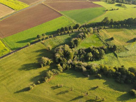 Luftaufnahme von landwirtschaftlichen Feldern und Bäumen in der Landschaft