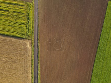 Vue aérienne des champs agricoles avec une route asphaltée au milieu