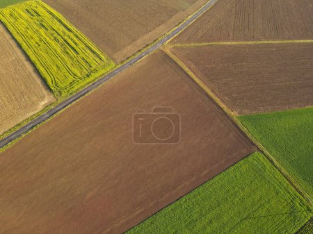 Farmland with agriculture fields from above