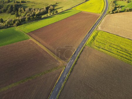Vue aérienne d'une longue route rurale entre champs agricoles à la campagne
