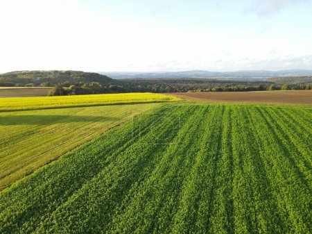 Vista aérea de los campos agrícolas en el campo