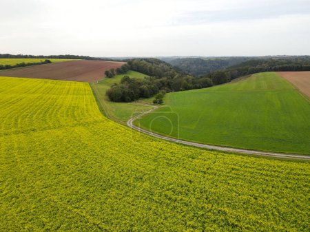 Vista aérea de una tierra de cultivo con campos agrícolas, árboles y una carretera rural