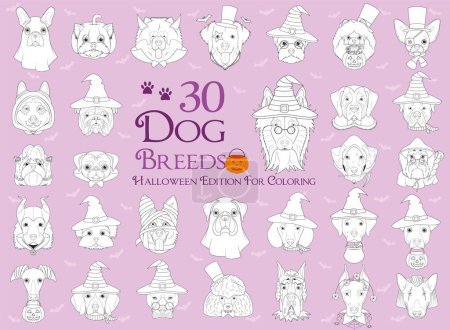 Téléchargez les illustrations : Lot de 30 races de chiens avec costumes d'Halloween pour la coloration - en licence libre de droit