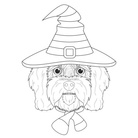 Illustration for Halloween greeting card for coloring. Cavoodle dog dressed as a witch with black and orange hat and purple and black scarf - Royalty Free Image