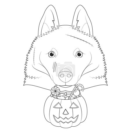 Ilustración de Tarjeta de felicitación de Halloween para colorear. Schipperke perro con varias cicatrices en la cara y una calabaza con caramelos en la boca - Imagen libre de derechos