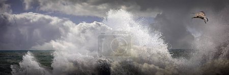 Powerful Wave Crashing in Stormy Ocean with Bird in Flight