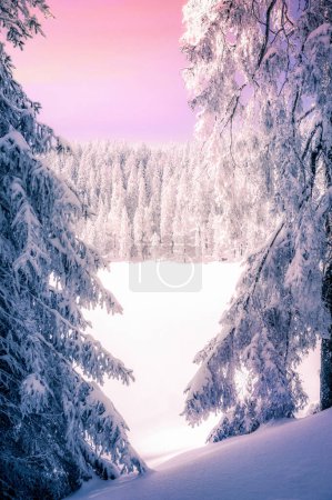 Photo for Mummelsee, Beautiful winter wonder landscape Black Forest, Germany - Royalty Free Image