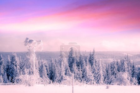 Photo for Beautiful winter wonder landscape Black Forest, Germany - Royalty Free Image