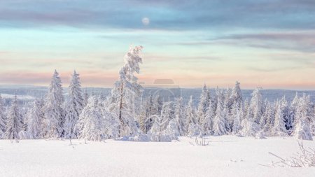 Photo for Beautiful winter wonder landscape Black Forest, Germany - Royalty Free Image