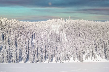 Photo for Mummelsee, Beautiful winter wonder landscape Black Forest, Germany - Royalty Free Image