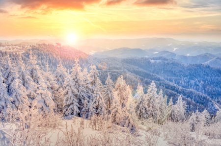 Foto de Paisaje de invierno Bosque Negro, Alemania - Imagen libre de derechos