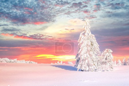 Téléchargez les photos : Winter landscape, Harz, Germany - en image libre de droit