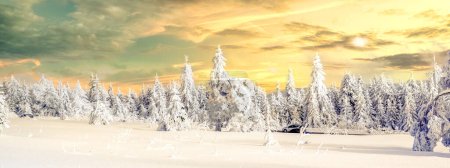 Winter landscape, Harz, Germany 